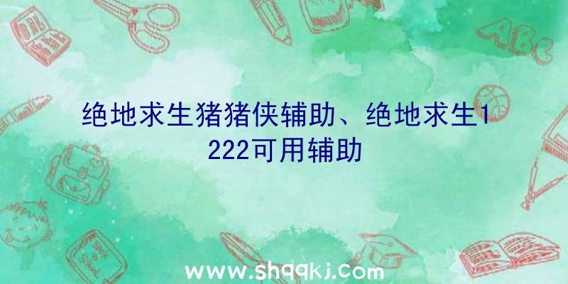 绝地求生猪猪侠辅助、绝地求生1222可用辅助