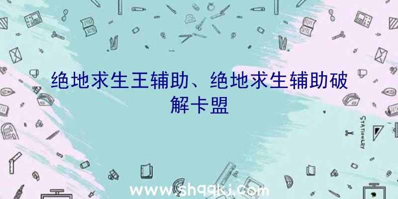 绝地求生王辅助、绝地求生辅助破解卡盟