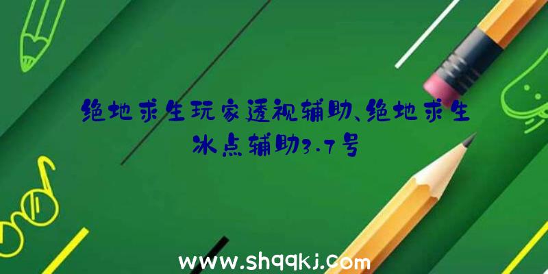 绝地求生玩家透视辅助、绝地求生冰点辅助3.7号