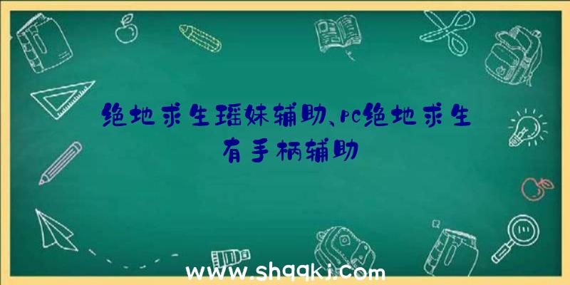 绝地求生瑶妹辅助、pc绝地求生有手柄辅助