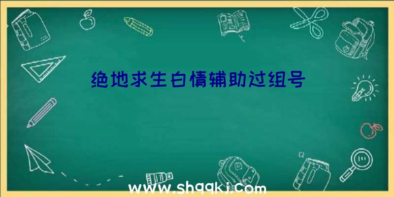 绝地求生白情辅助过组号