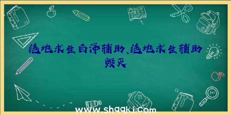 绝地求生白泽辅助、绝地求生辅助毁灭