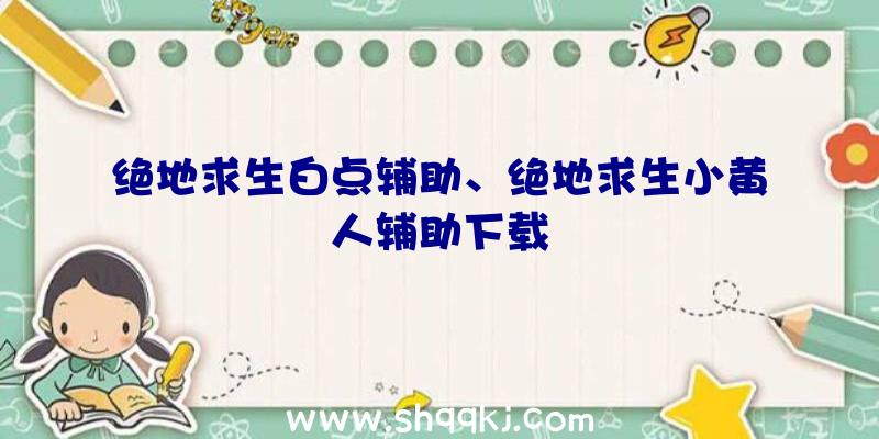 绝地求生白点辅助、绝地求生小黄人辅助下载