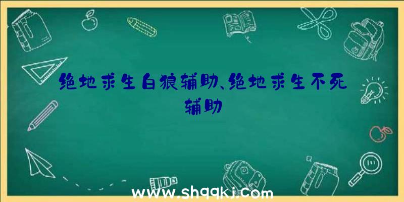 绝地求生白狼辅助、绝地求生不死辅助