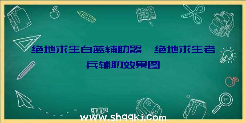 绝地求生白蓝辅助器、绝地求生老兵辅助效果图