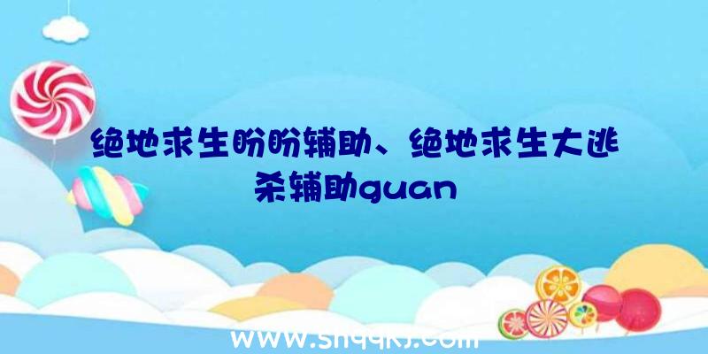 绝地求生盼盼辅助、绝地求生大逃杀辅助guan