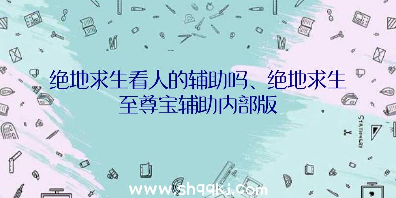 绝地求生看人的辅助吗、绝地求生至尊宝辅助内部版