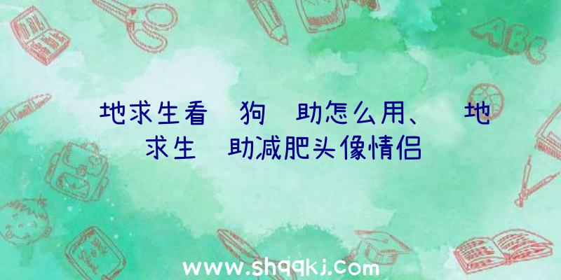 绝地求生看门狗辅助怎么用、绝地求生辅助减肥头像情侣