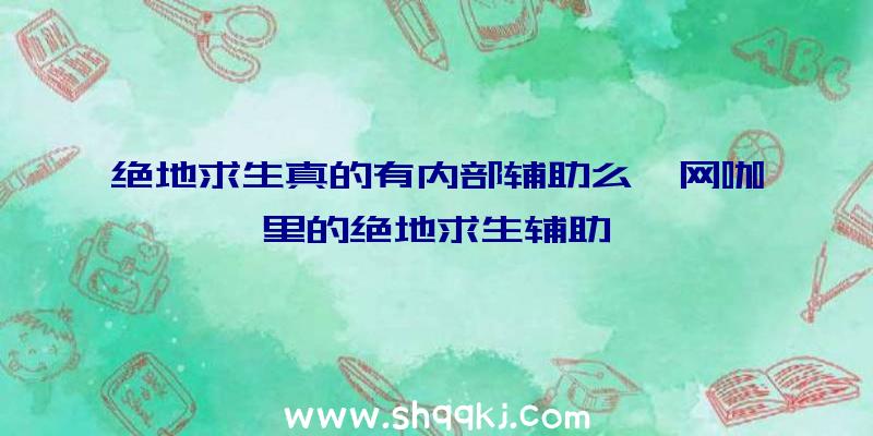 绝地求生真的有内部辅助么、网咖里的绝地求生辅助