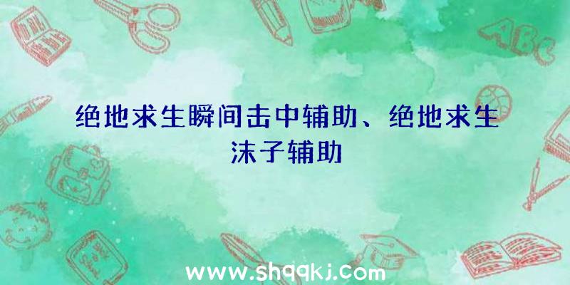 绝地求生瞬间击中辅助、绝地求生沫子辅助