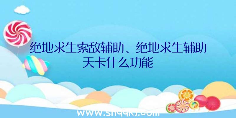 绝地求生索敌辅助、绝地求生辅助天卡什么功能