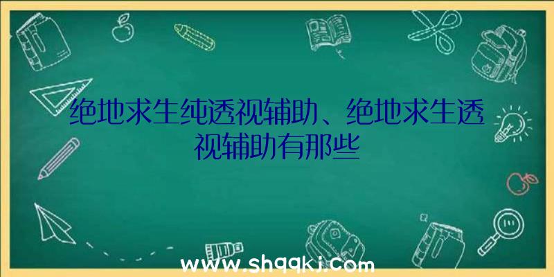 绝地求生纯透视辅助、绝地求生透视辅助有那些