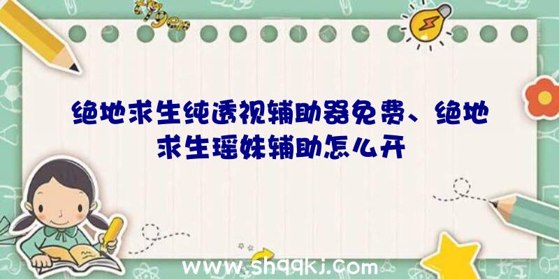 绝地求生纯透视辅助器免费、绝地求生瑶妹辅助怎么开