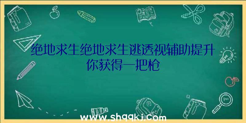 绝地求生绝地求生逃透视辅助提升你获得一把枪