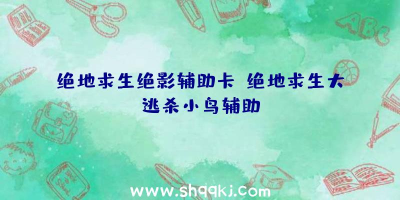 绝地求生绝影辅助卡、绝地求生大逃杀小鸟辅助