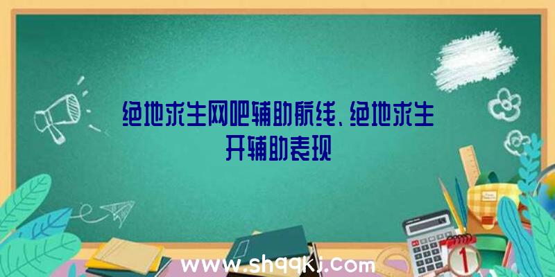 绝地求生网吧辅助航线、绝地求生开辅助表现