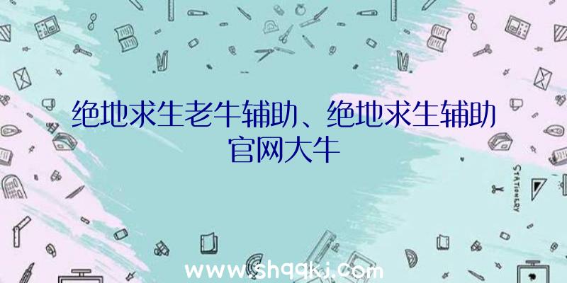 绝地求生老牛辅助、绝地求生辅助官网大牛