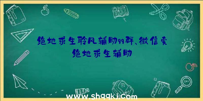 绝地求生聆风辅助qq群、微信卖绝地求生辅助