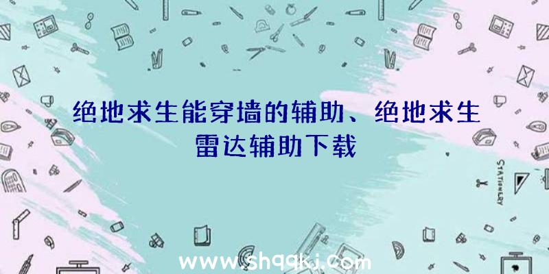 绝地求生能穿墙的辅助、绝地求生雷达辅助下载