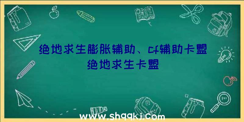 绝地求生膨胀辅助、cf辅助卡盟绝地求生卡盟