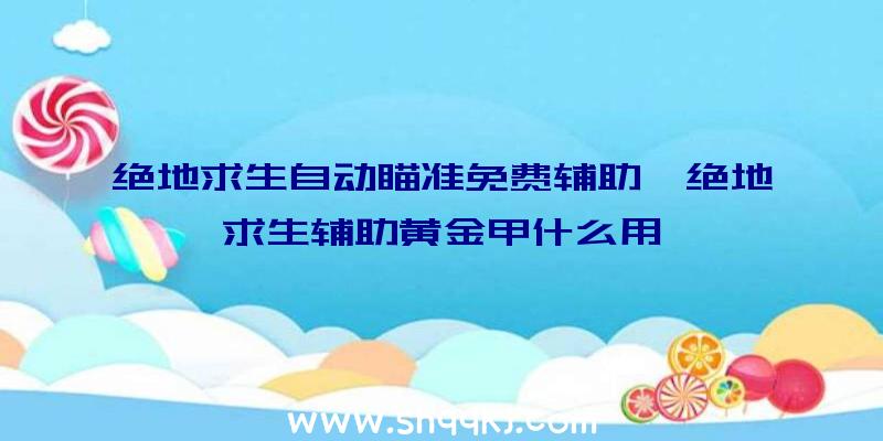 绝地求生自动瞄准免费辅助、绝地求生辅助黄金甲什么用