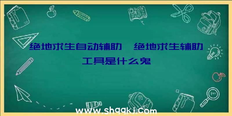 绝地求生自动辅助、绝地求生辅助工具是什么鬼