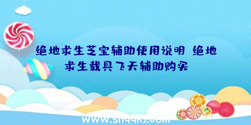 绝地求生芝宝辅助使用说明、绝地求生载具飞天辅助购买