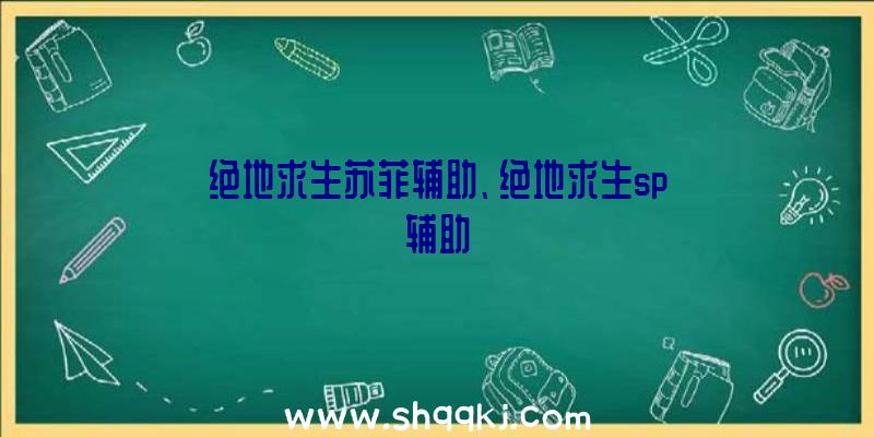 绝地求生苏菲辅助、绝地求生sp辅助