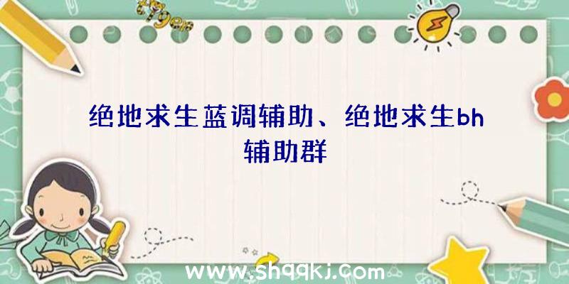 绝地求生蓝调辅助、绝地求生bh辅助群