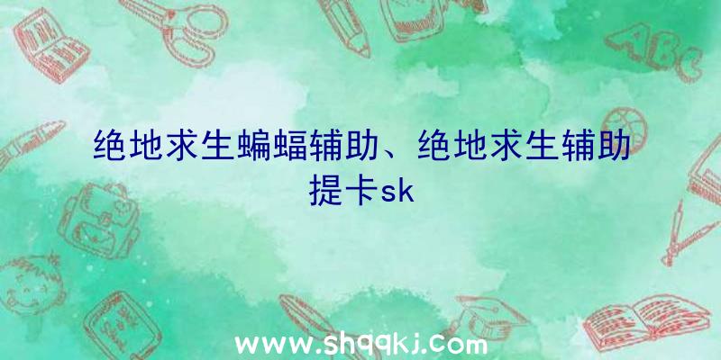 绝地求生蝙蝠辅助、绝地求生辅助提卡sk