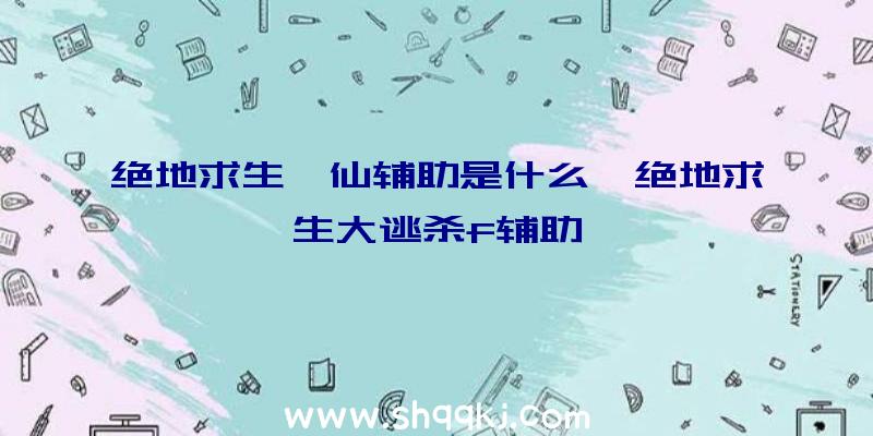 绝地求生诛仙辅助是什么、绝地求生大逃杀f辅助