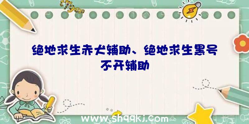 绝地求生赤犬辅助、绝地求生黑号不开辅助