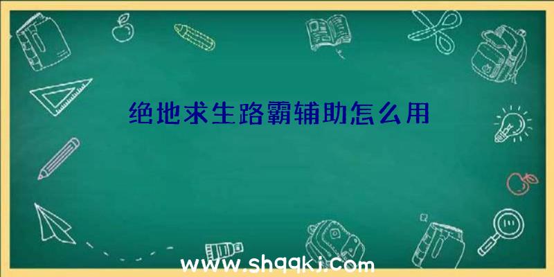 绝地求生路霸辅助怎么用