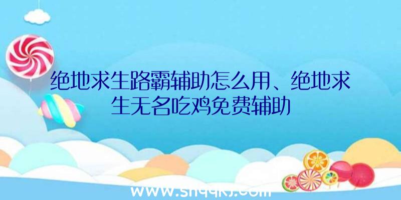 绝地求生路霸辅助怎么用、绝地求生无名吃鸡免费辅助