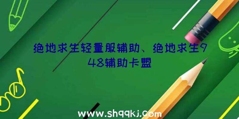 绝地求生轻量服辅助、绝地求生948辅助卡盟