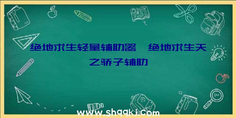 绝地求生轻量辅助器、绝地求生天之骄子辅助