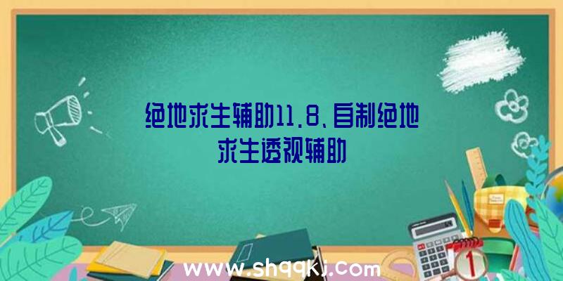 绝地求生辅助11.8、自制绝地求生透视辅助