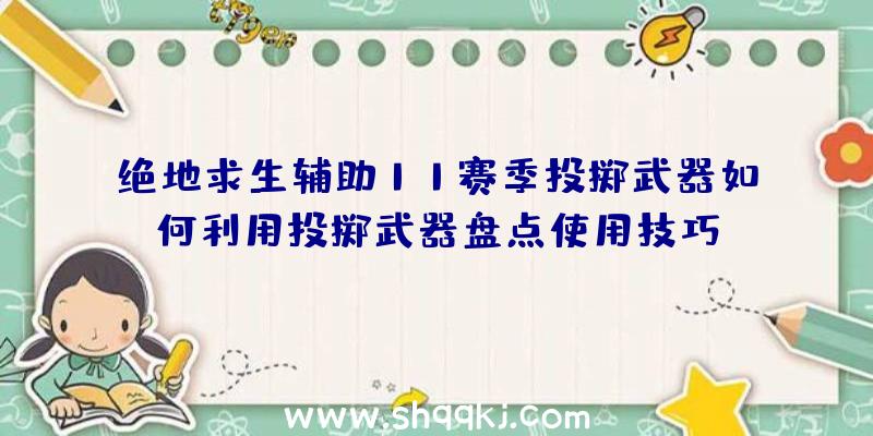 绝地求生辅助11赛季投掷武器如何利用投掷武器盘点使用技巧