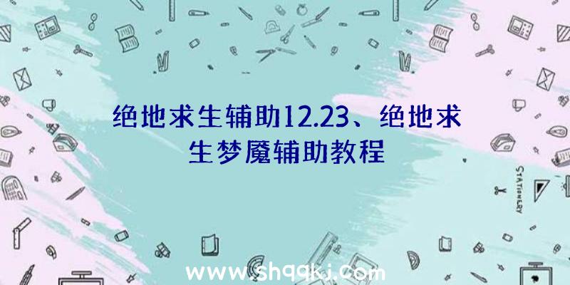 绝地求生辅助12.23、绝地求生梦魇辅助教程