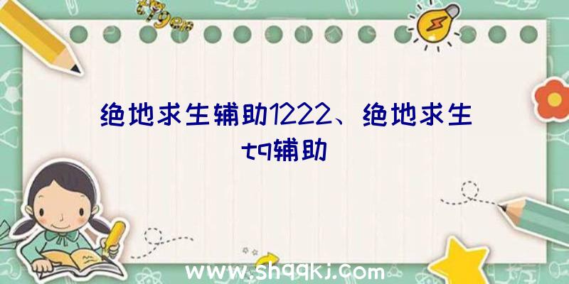 绝地求生辅助1222、绝地求生tq辅助