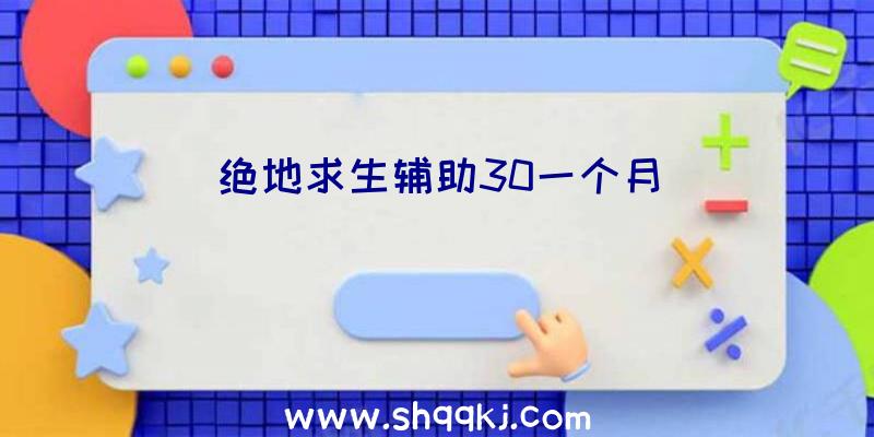 绝地求生辅助30一个月