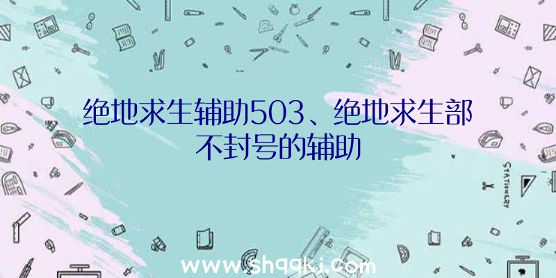 绝地求生辅助503、绝地求生部不封号的辅助