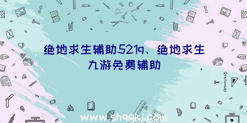 绝地求生辅助521q、绝地求生九游免费辅助