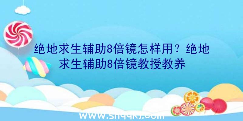 绝地求生辅助8倍镜怎样用？绝地求生辅助8倍镜教授教养