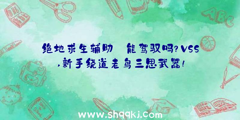 绝地求生辅助:能驾驭吗？VSS,新手绕道老鸟三思武器!