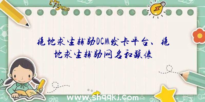 绝地求生辅助DCM发卡平台、绝地求生辅助网名和头像