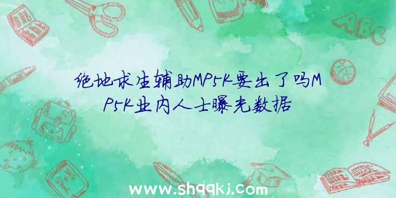 绝地求生辅助MP5K要出了吗MP5K业内人士曝光数据