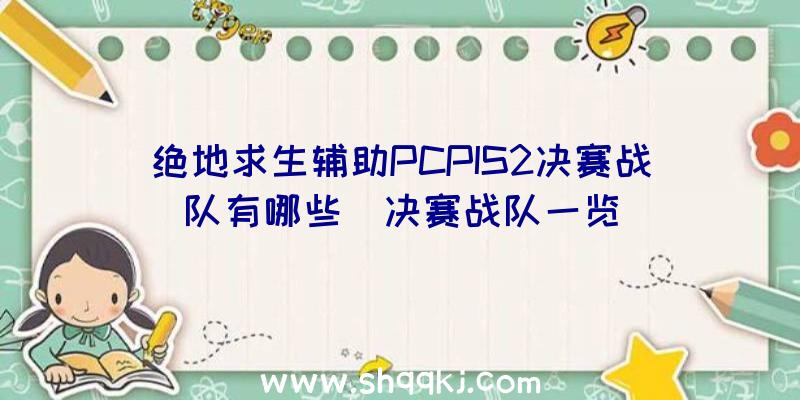 绝地求生辅助PCPIS2决赛战队有哪些_决赛战队一览