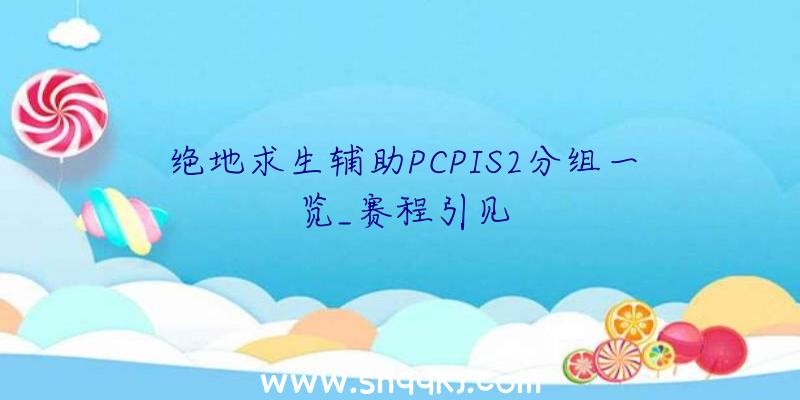 绝地求生辅助PCPIS2分组一览_赛程引见