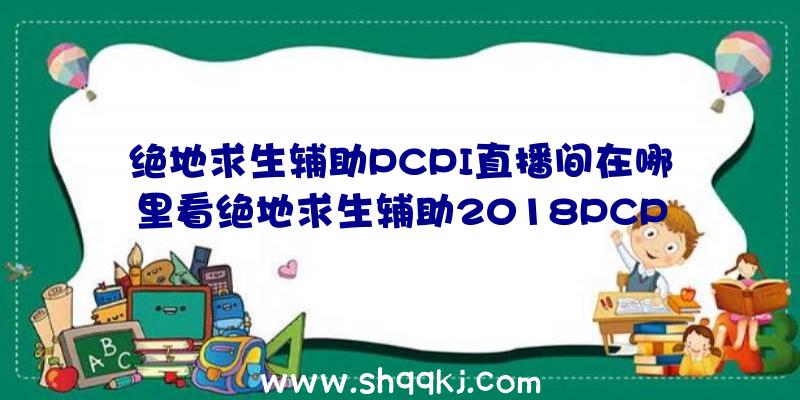 绝地求生辅助PCPI直播间在哪里看绝地求生辅助2018PCPI选号牌